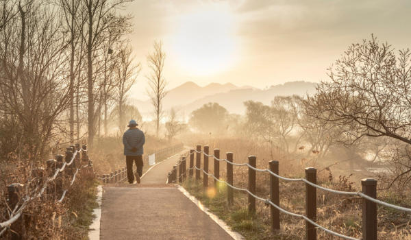 A man walking along a tree-lined path towards a bright opening in the distance.